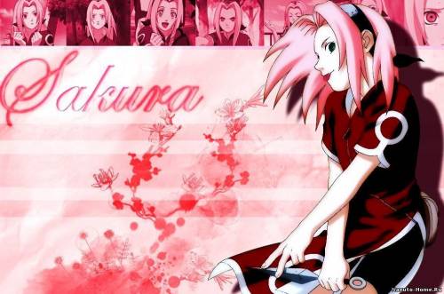 Аниме обои sakura