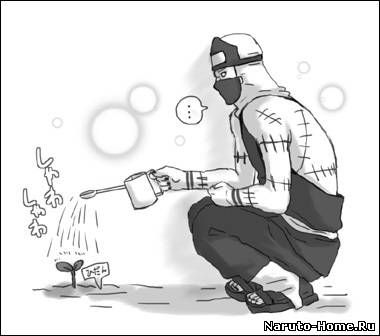Какузу Фотография 9